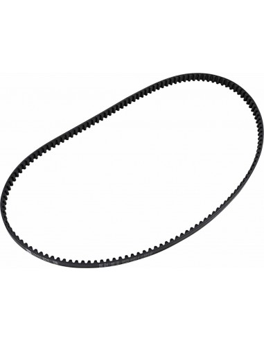 Cinghia Posteriore Drv 24Mmx134T