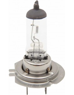 Lampadina H7 55W Alogena