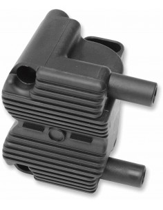 Bobina Accensione 01-06Efi