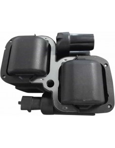 Bobina Accensione Nera