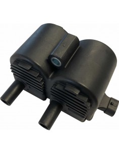 Bobina Dualfire Oem31646-98