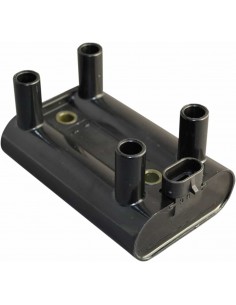 Bobina Accensione M8 17+