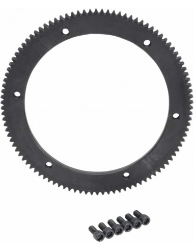 Anello Ingranaggio 102T 98-06Bt