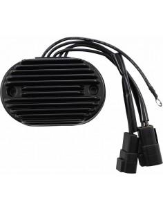 Regolatore Fx/Flst 2007 Bk