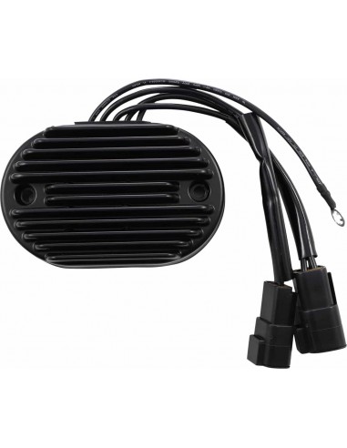 Regolatore Fx/Flst 2007 Bk