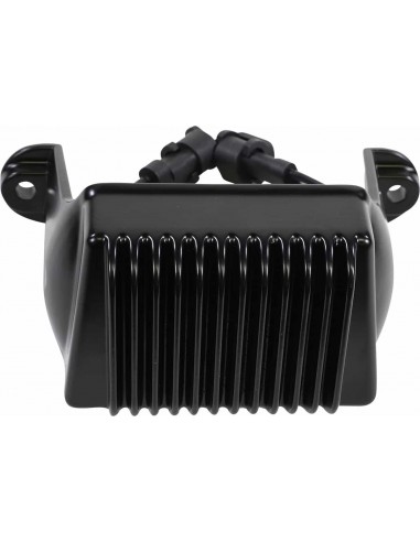 Regolatore Fl 06-08 Blk