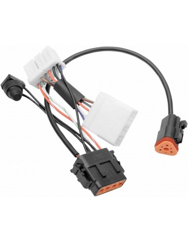 Cablaggio Spedo 96-7 Wg