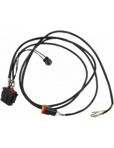 Cablaggio Spedo 96/7Flhr