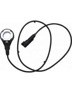 Sensore Abs Freno Posteriore