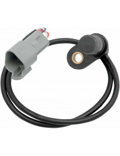 Sensore Speedo 95-03Xl