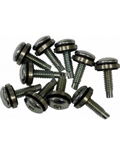 Vite Efi Mnt(1311D) 10Pz