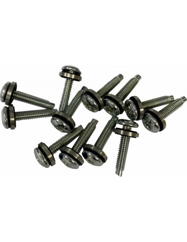 Vite Efi Mnt(1331) 12Pz