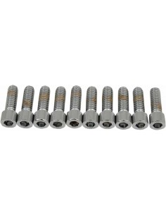 1/4-20 X 3/4 Smth Sckt Hd