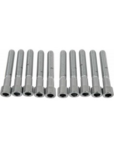 5/16-18 X 2 Smth Sckt Hd