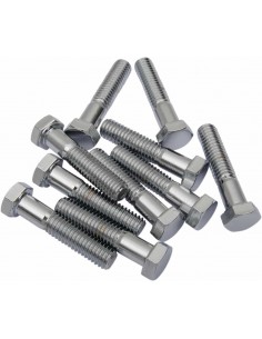 3/8"-16 X 13/4 Chr Esagonale Hd