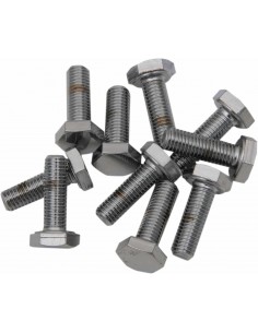 1/4"-28 X 5/8 Chr Esagonale Hd