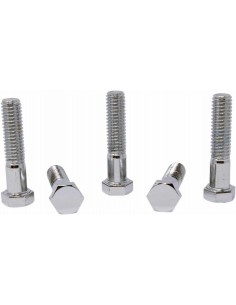 Testa Esagonale 7/16X14X2" Chr