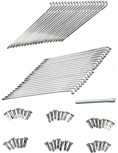 Raggi Chr Mozzo Stl 21"Cr