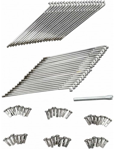 Raggi Chr Mozzo Stl 19"Dc