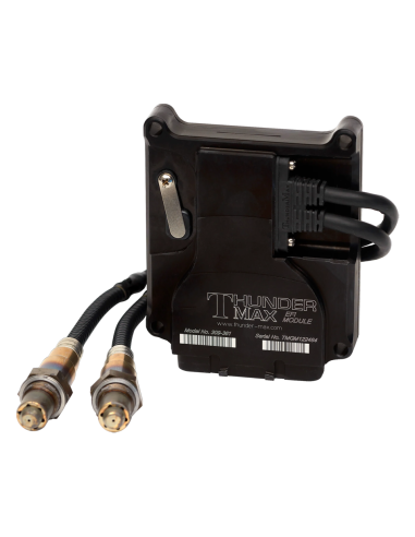 Thundermax con autotune f*st2011