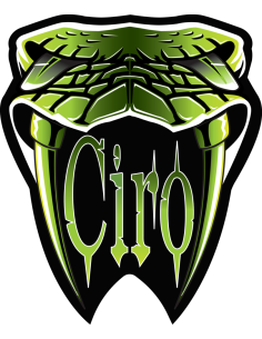 KIT DI MONTAGGIO PER SMARTPHONE E FOTOCAMERE DA CIRO 2