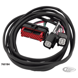 CABLAGGIO ALTOPARLANTI POSTERIORI NAMZ 2