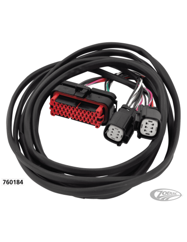 CABLAGGIO ALTOPARLANTI POSTERIORI NAMZ