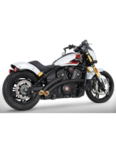 RADICAL RADIUS PER INDIAN SCOUT