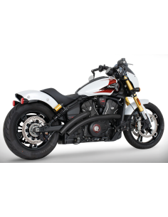 RADICAL RADIUS PER INDIAN SCOUT
