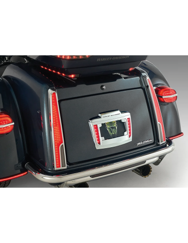 LUCI POSTERIORI CIRO CALADE PER TRI GLIDE