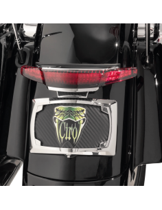 FANALE POSTERIORE E PORTATARGA CIRO PER TOURING
