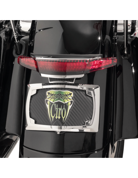 FANALE POSTERIORE E PORTATARGA CIRO PER TOURING