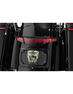 FANALE POSTERIORE E PORTATARGA CIRO PER TOURING