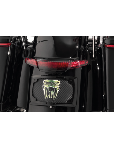 FANALE POSTERIORE E PORTATARGA CIRO PER TOURING