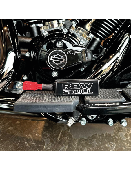 TUNER ODB2 RBW SKULL SNAP PER MODELLI 2021 A OGGI