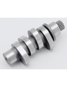 ALBERI A CAMME STAR RACING PER MILWAUKEE EIGHT