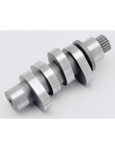 ALBERI A CAMME STAR RACING PER MILWAUKEE EIGHT