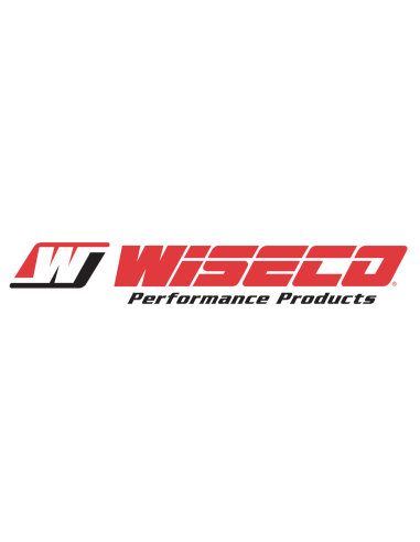 PANHEAD E SHOVELHEAD