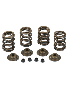 KIT MOLLE VALVOLE LEGGERE DA COMPETIZIONE KIBBLEWHITE PRECISION MACHINING PER CAMME CON ALZATA ELEVATA