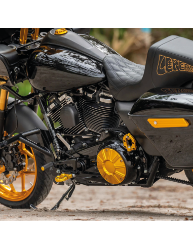 COPERTURA FRIZIONE ARLEN NESS 10-GAUGE