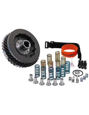 AGGIORNAMENTO FRIZIONE AUTOMATICA REKLUSE RADIUSCX PER SPORTSTER